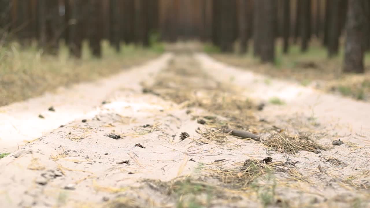 在森林或山上徒步旅行时背着背包的男子。狭隘视频下载