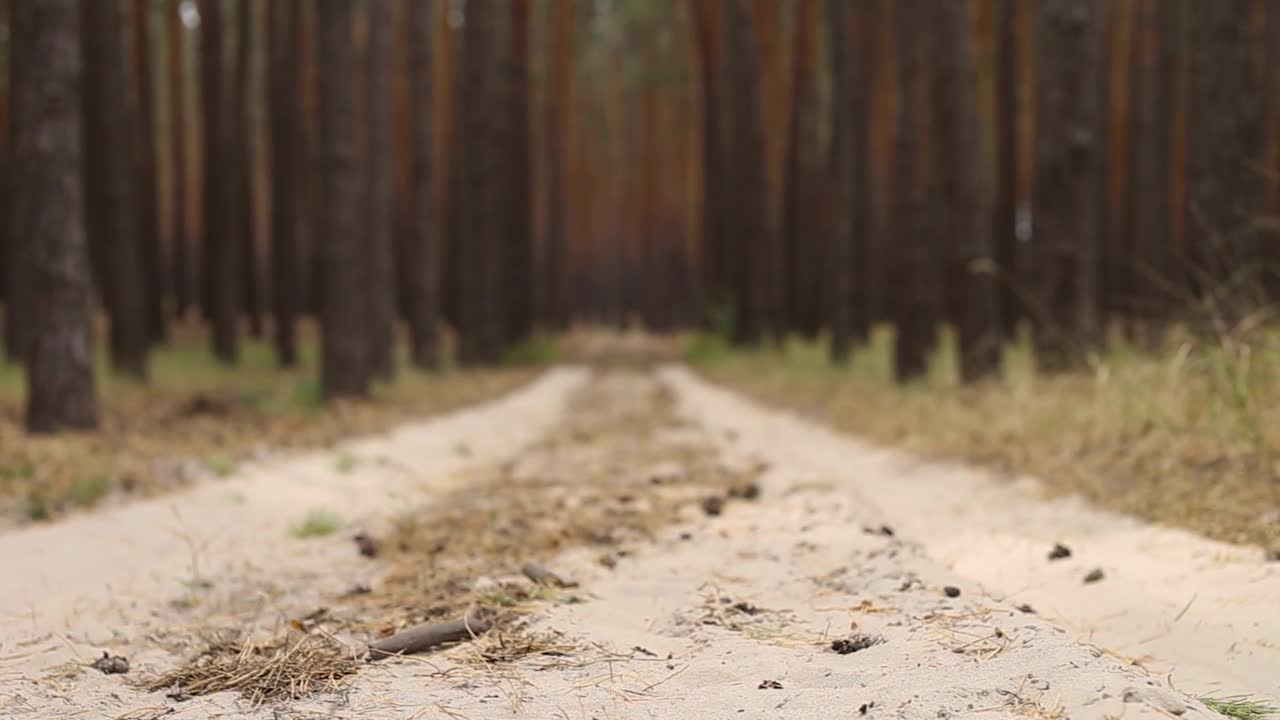 在森林或山上徒步旅行时背着背包的男子。狭隘视频下载