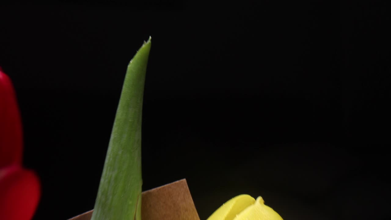 一个郁金香花头的特写视频素材