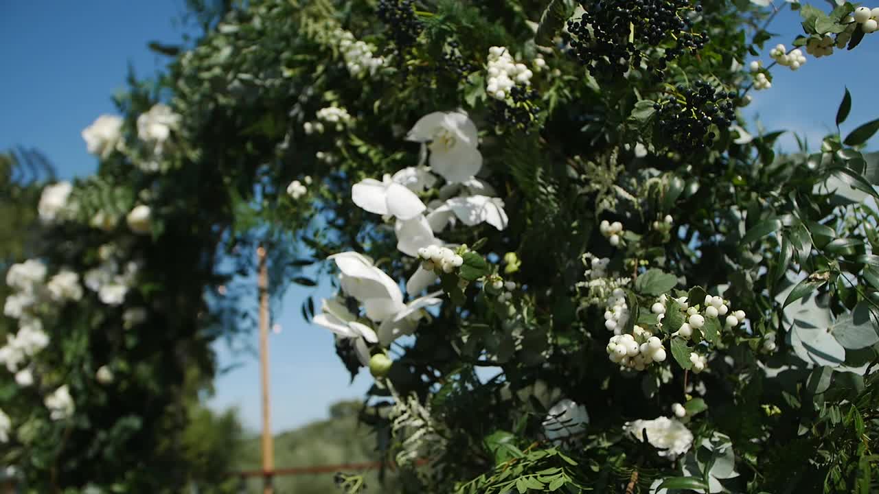 美丽的花装饰白玫瑰和绿色的花瓣视频素材