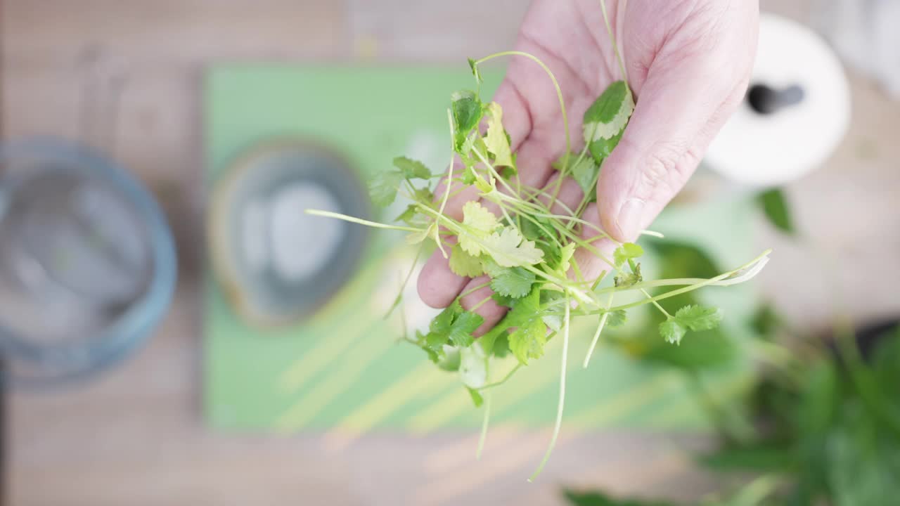 香菜视频素材