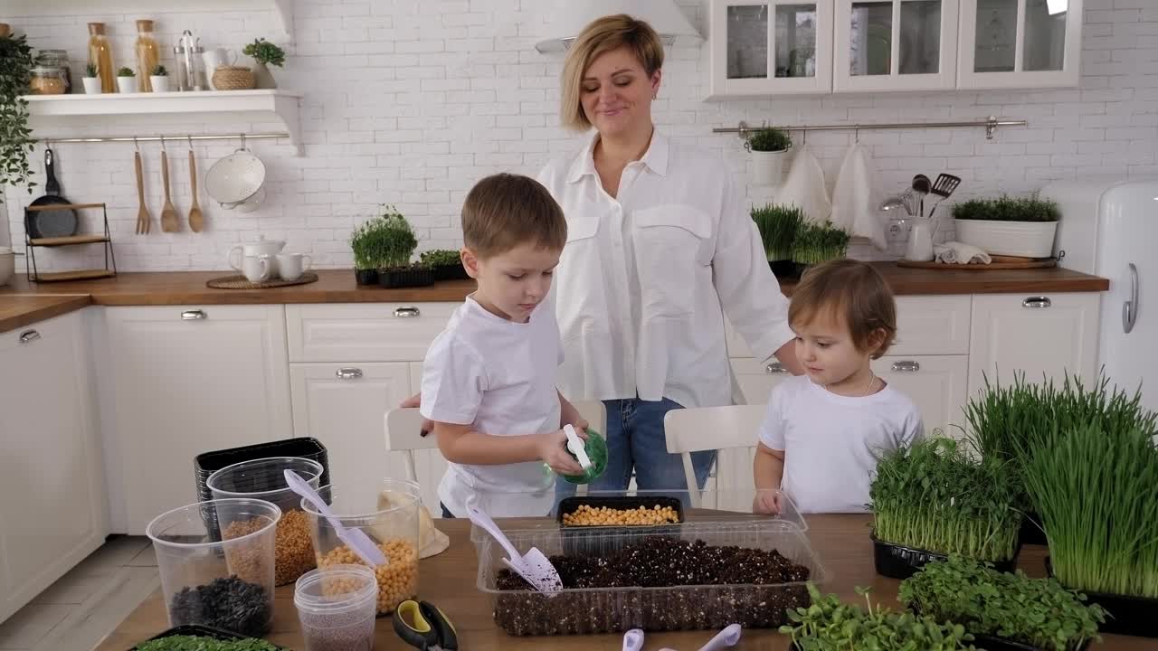 一个家庭在家里种植微型植物，母亲和孩子们给种子浇水。视频素材