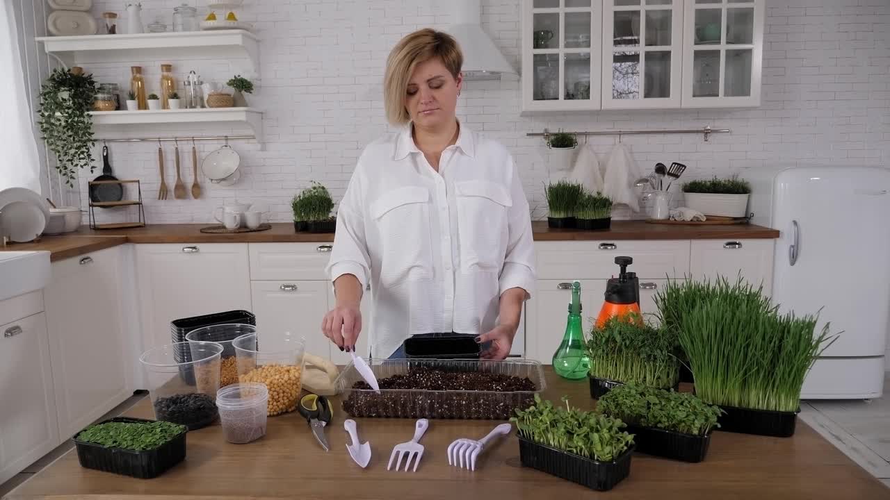 一个年轻的女人在种豌豆和小麦的种子。天然有机生物食品。视频素材