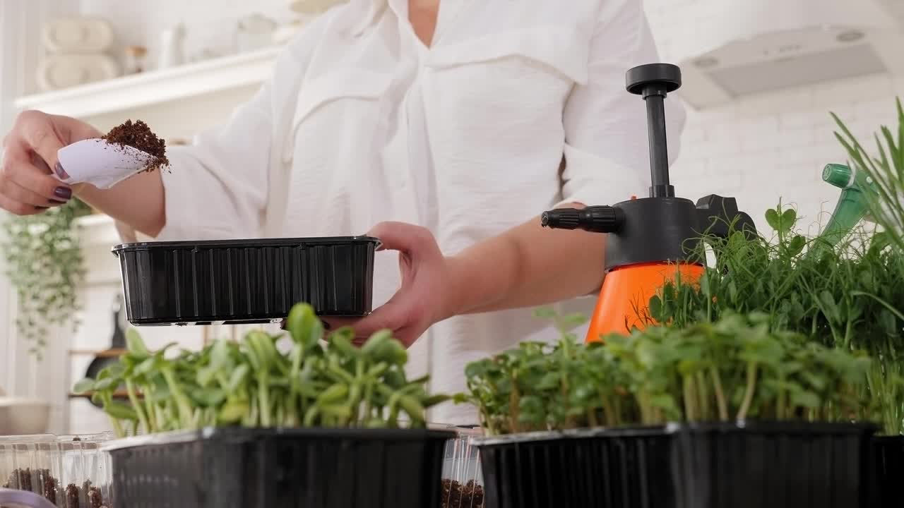 一个女人种植微型绿色种子在现代温室的特写镜头。视频素材