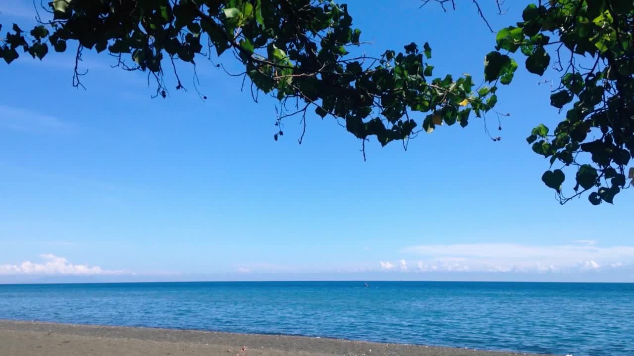 蓝色晴天风景的热带钓鱼海滩气氛下的树荫下的Portia树或在海滩上的Thespesia Populnea视频素材