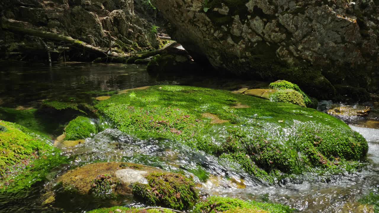 女旅人赤脚踏在森林里一条山河河床上的青苔上。视频素材