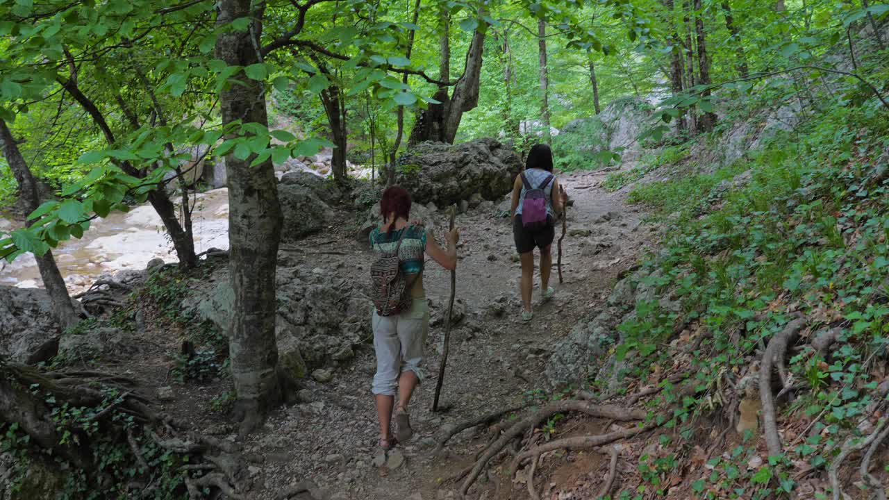 年轻的女性旅行者们手里拿着木棍，走在山间的森林里。视频素材