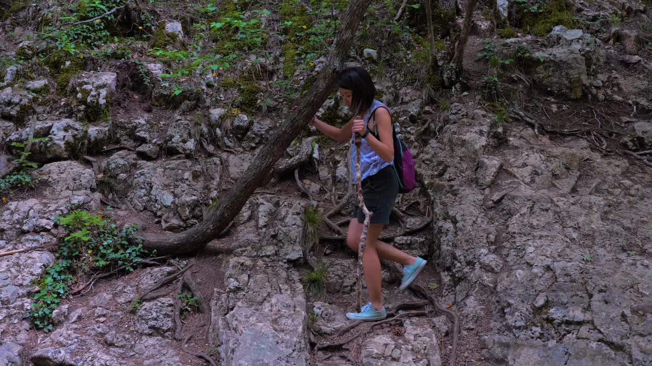 一个年轻的旅行女孩手里拿着一根木棍，走在森林里的一条徒步小径上。视频素材