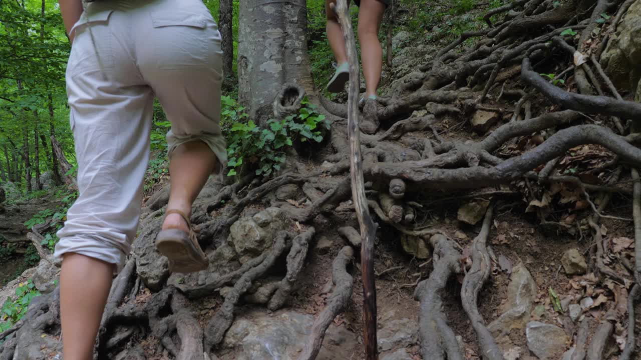 年轻的女性旅行者们手里拿着木棍，走在山间的森林里。视频素材