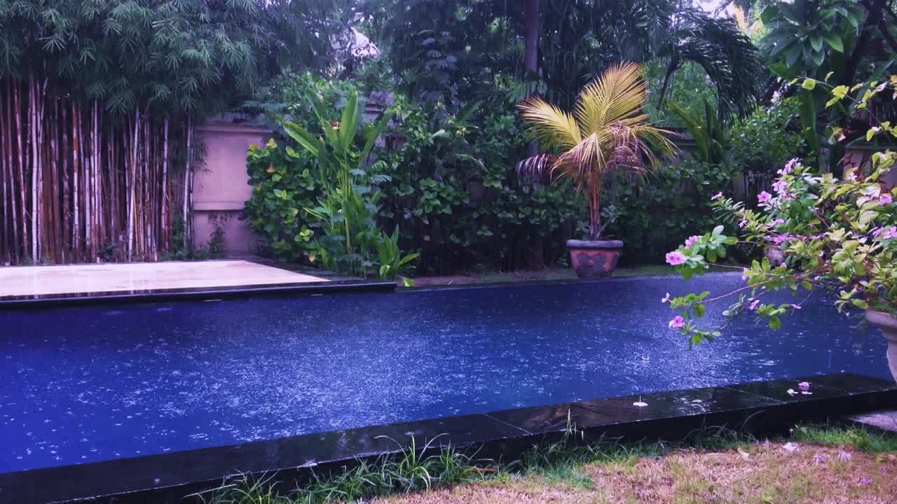 美丽的风景雨点在蓝色的水面花园游泳池周围的观赏植物在雨中视频素材