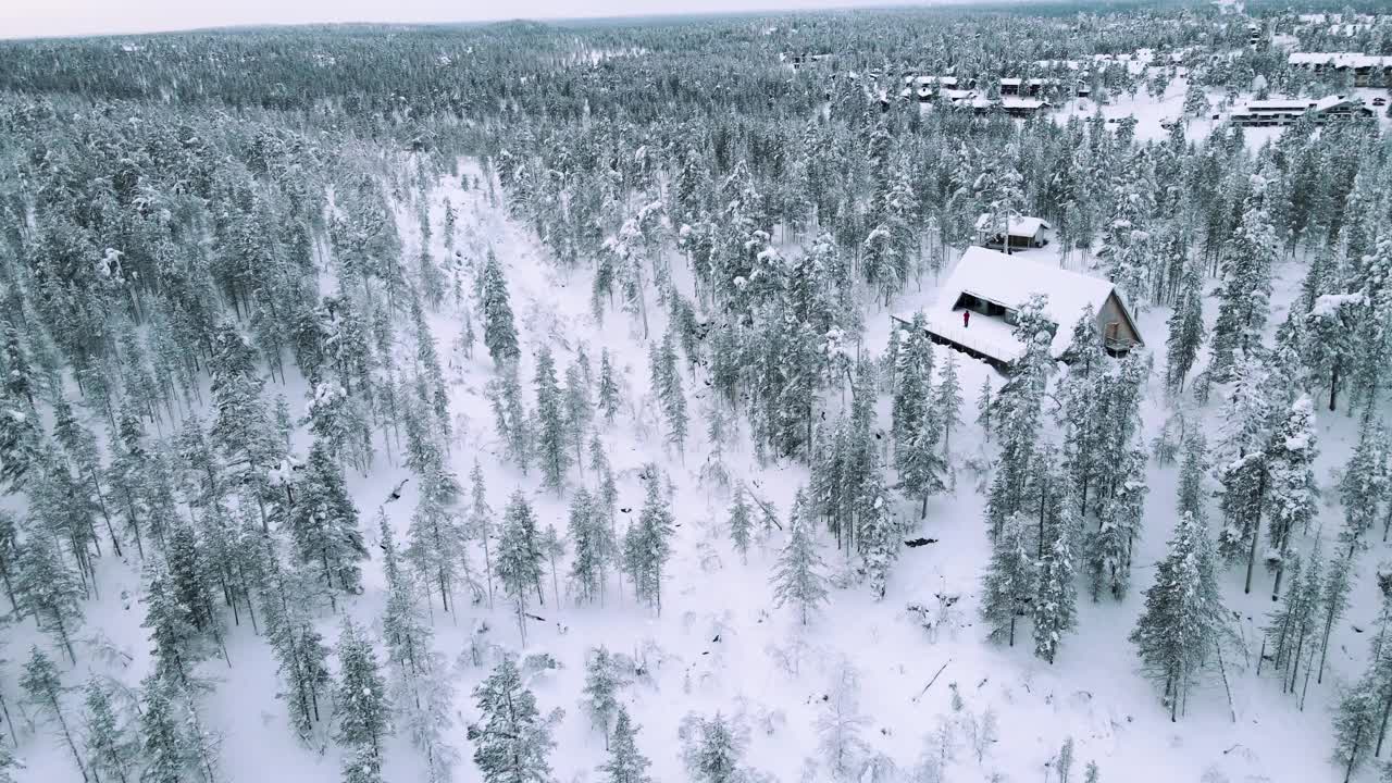 鸟瞰图的芬兰拉普兰与厚雪森林，芬兰视频素材