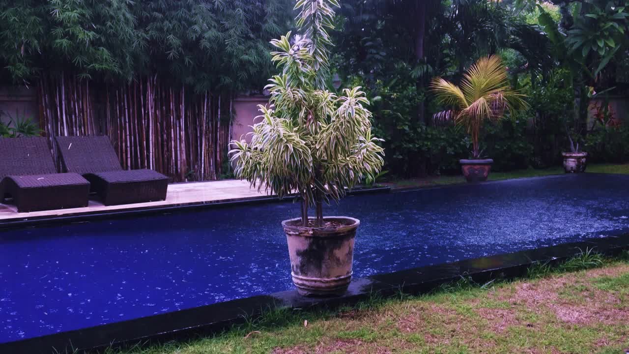 自然雨的气氛在花园私人游泳池别墅与龙的反射观赏性盆栽在雨的边缘视频素材