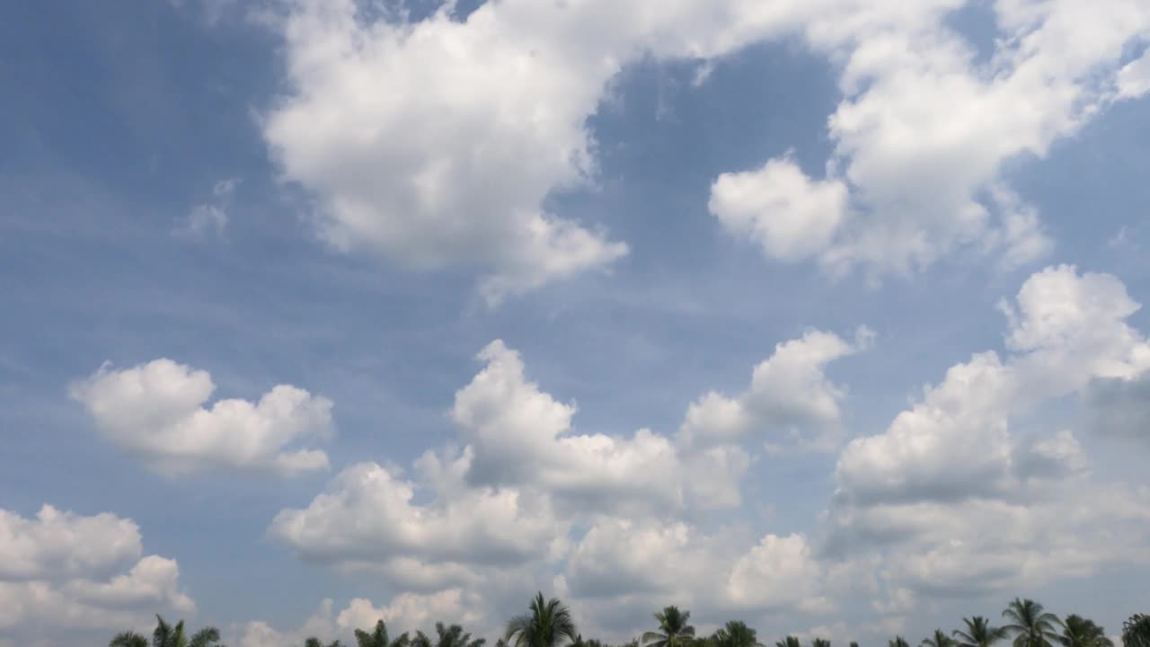 蓬松蓬松的白云，暴雨积云，棕榈树叶子的剪影视频素材