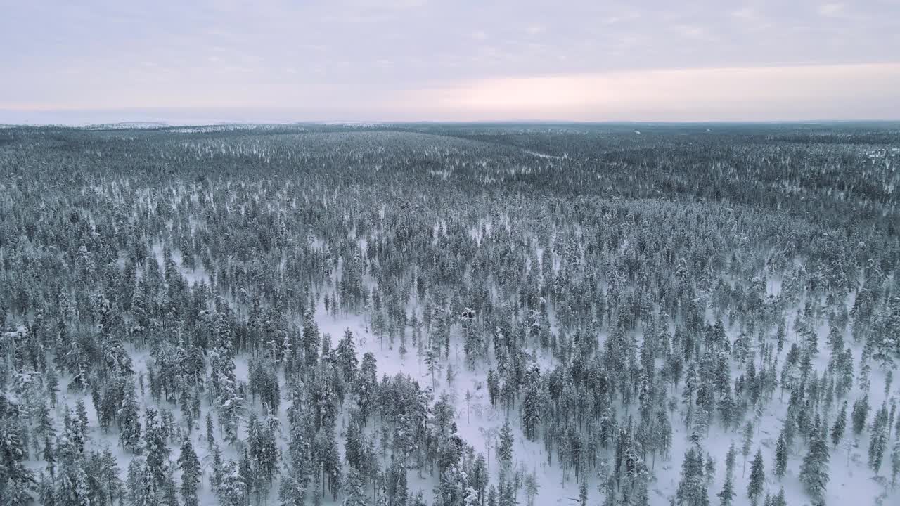 芬兰拉普兰的鸟瞰图与大雪森林，芬兰视频素材