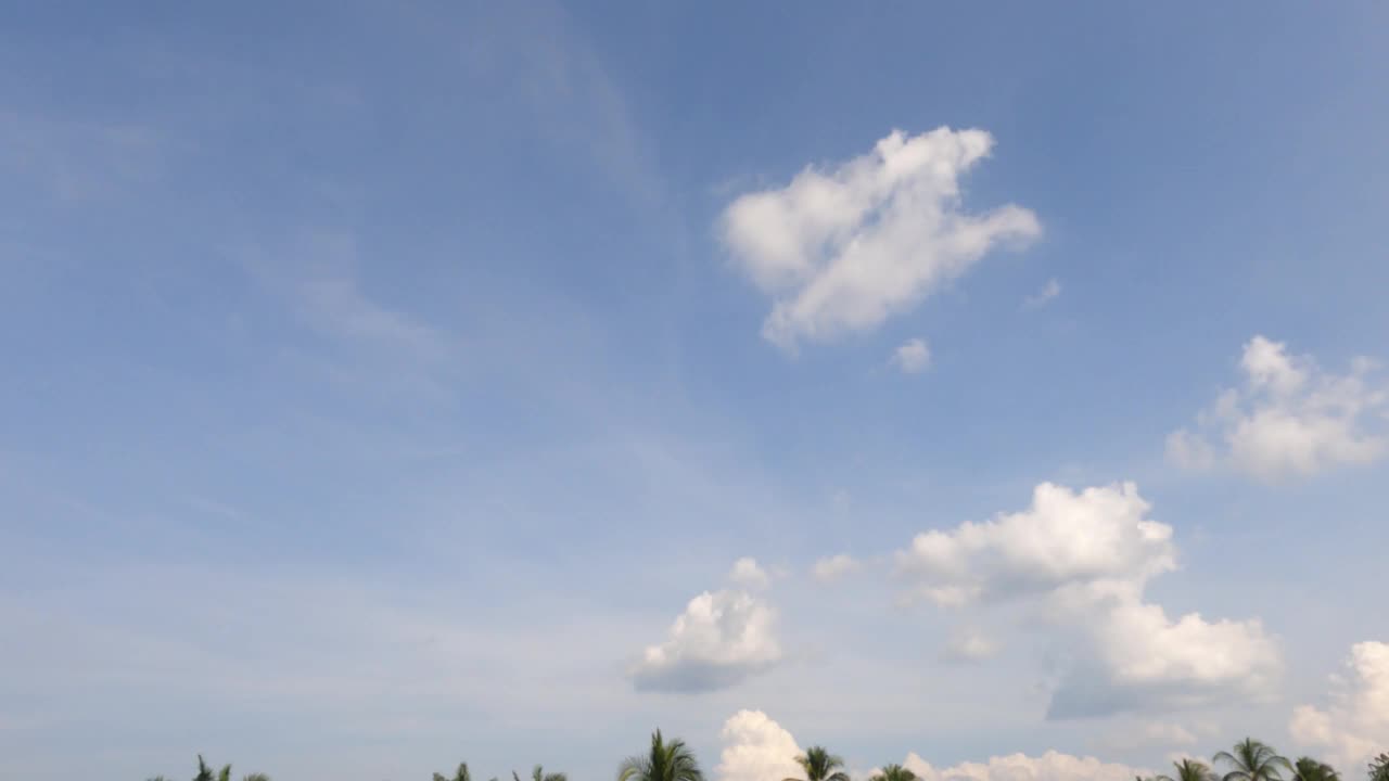 蓬松蓬松的白云，暴雨积云，棕榈树叶子的剪影视频素材