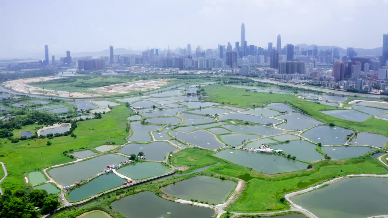 元朗香港鱼塘的鸟瞰图视频素材