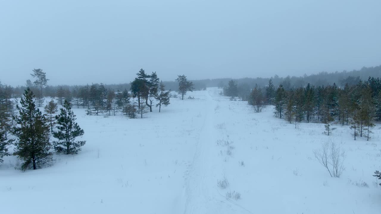 无人机鸟瞰图，美丽的冬季景观，下雪。白雪皑皑的平原上，有冷杉树。北方的大自然。4 k, ProRes视频素材