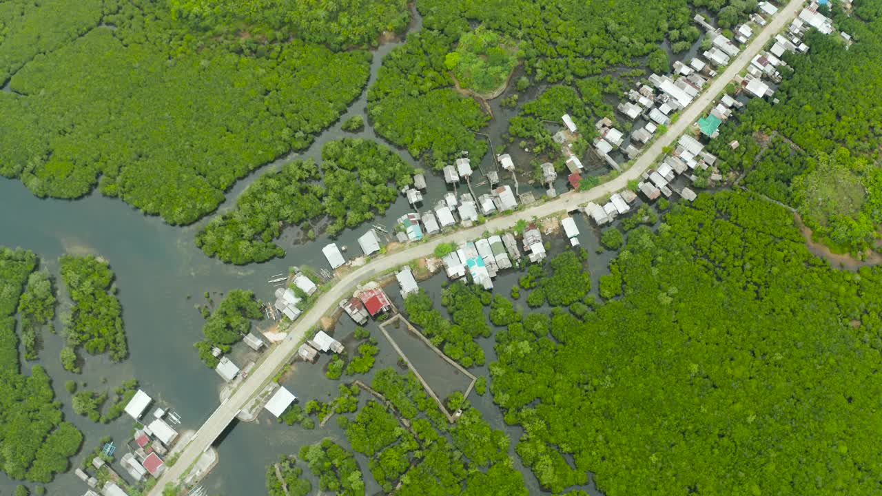 城市鸟瞰图是红树林。Siargao、菲律宾视频素材