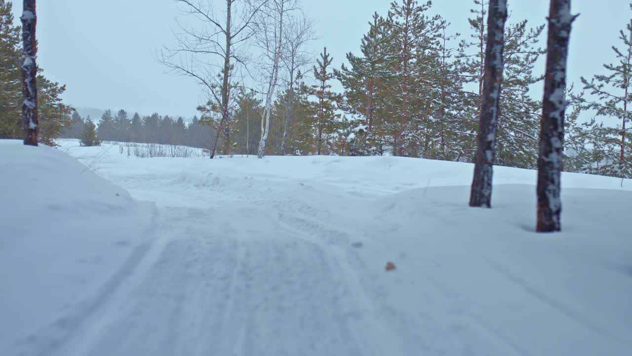 哈士奇雪橇从后面的一个弯道跑出来，森林里的一条雪道。赛狗，一个骡夫拉着哈士奇雪橇。雪地里的森林，美丽的冬季风景。4 k, ProRes视频素材