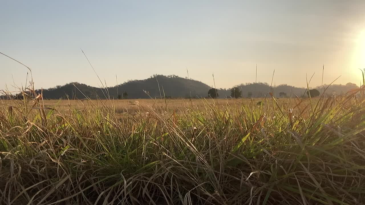 日出视频下载