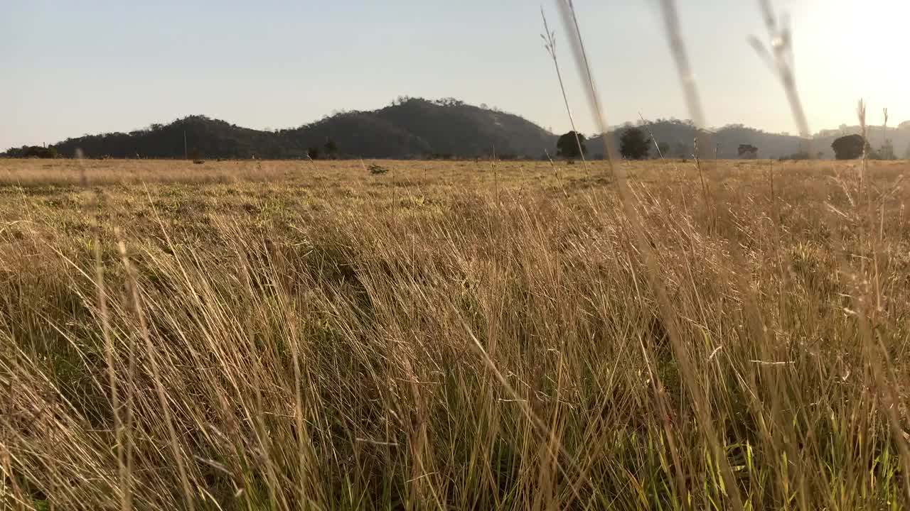 日出视频素材