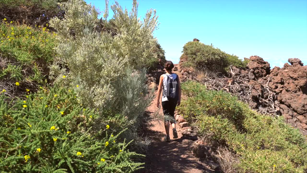 一个夏日的下午，加那利群岛拉帕尔马的塔布里恩特火山口自然公园附近的望远镜。西班牙视频素材