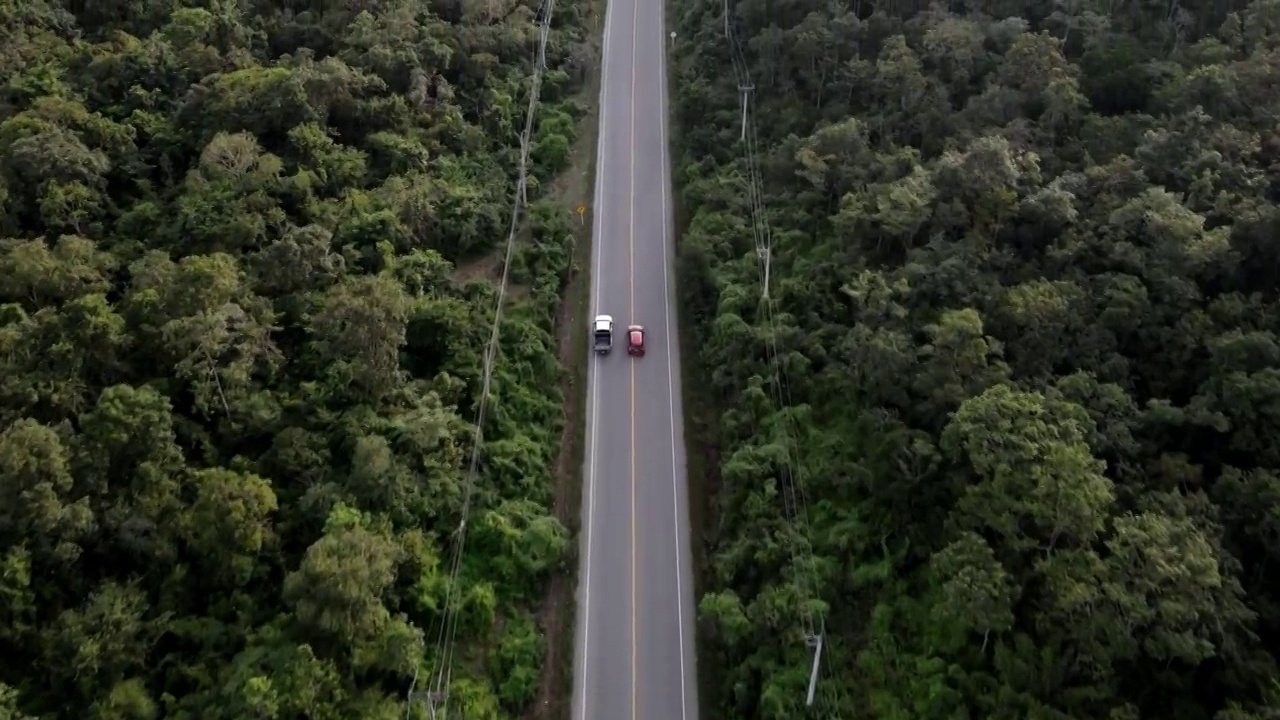 汽车，鸟瞰图，道路，驾驶，无人机，森林，无人机的观点，交通，旅行视频素材