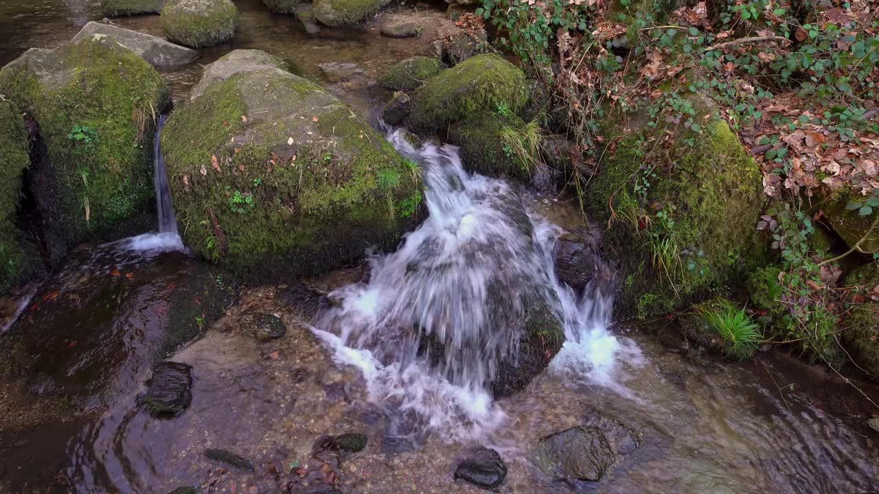 细节视频瀑布与苔藓石头和橙色的叶子视频素材