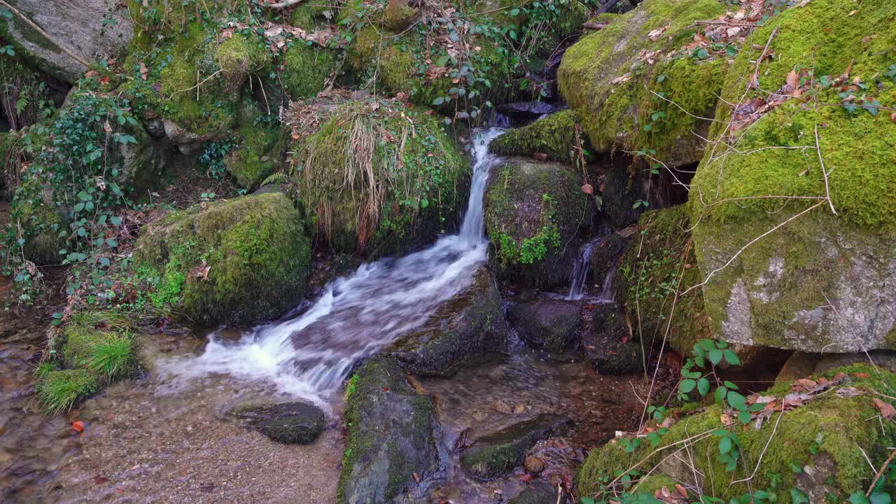 细节视频瀑布与苔藓石头和橙色的叶子视频素材