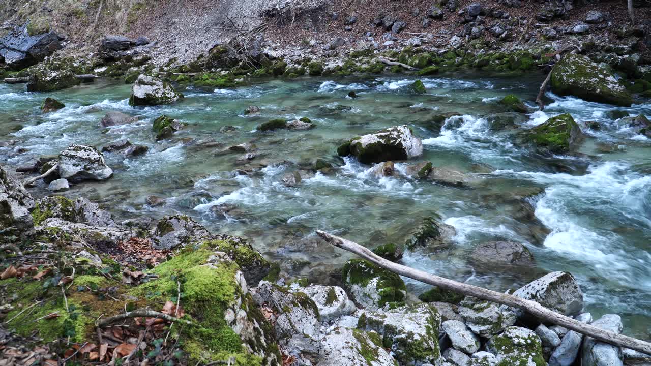 小溪小溪在绿色的森林，Ötschergräben， Ötscher，下奥地利视频素材