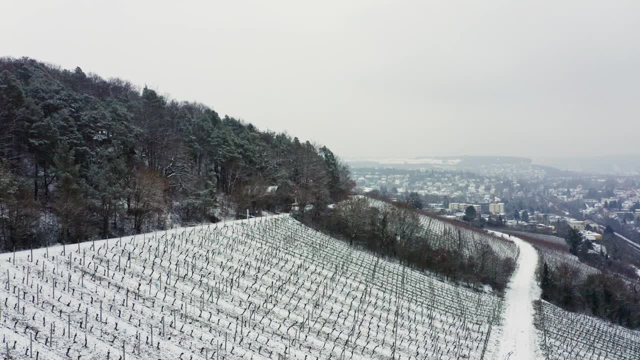 鸟瞰图的葡萄园Mainfranken地区，Würzburg，德国。山上的葡萄园被视频下载