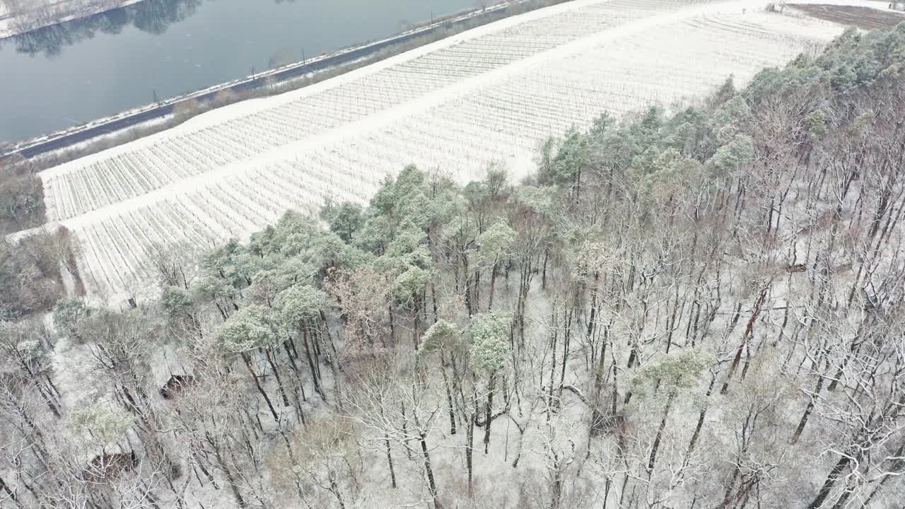 鸟瞰图的葡萄园Mainfranken地区，Würzburg，德国。山上的葡萄园被视频素材