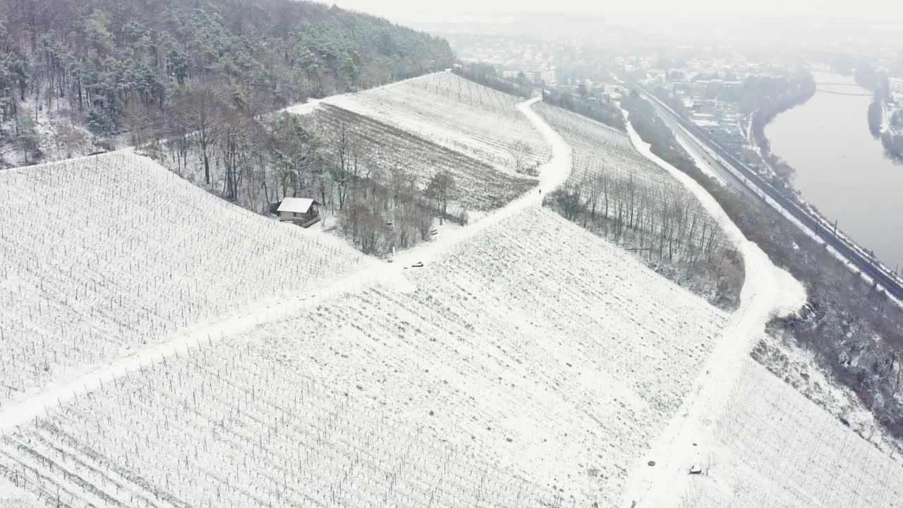 鸟瞰图的葡萄园Mainfranken地区，Würzburg，德国。山上的葡萄园被视频下载