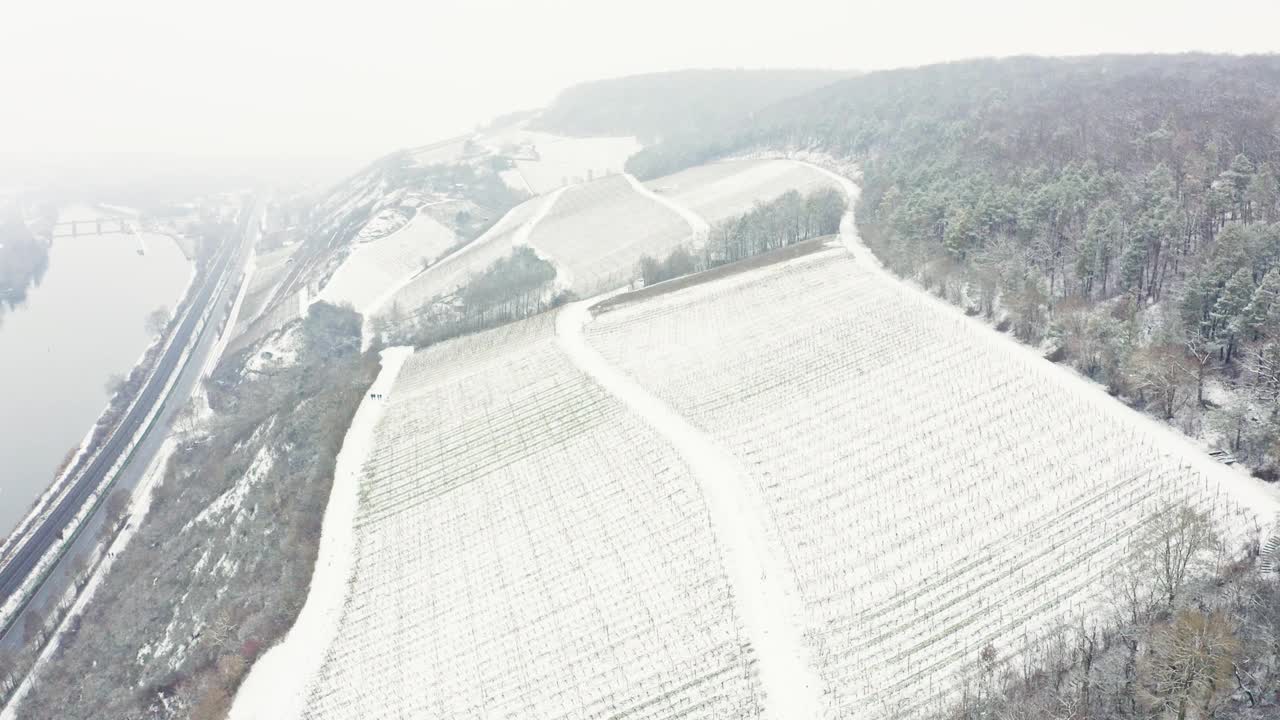 鸟瞰图的葡萄园Mainfranken地区，Würzburg，德国。山上的葡萄园被视频素材