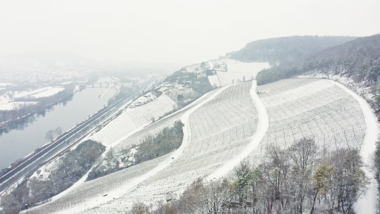 鸟瞰图的葡萄园Mainfranken地区，Würzburg，德国。山上的葡萄园被视频素材