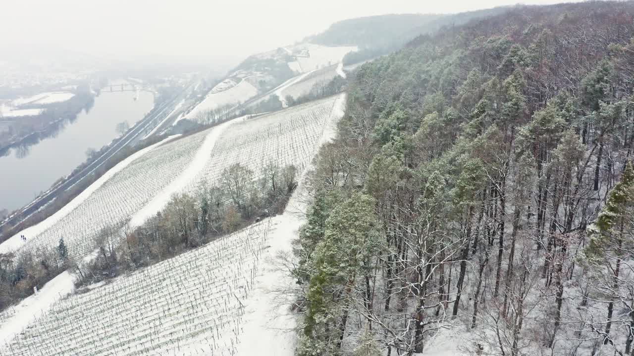 鸟瞰图的葡萄园Mainfranken地区，Würzburg，德国。山上的葡萄园被视频下载