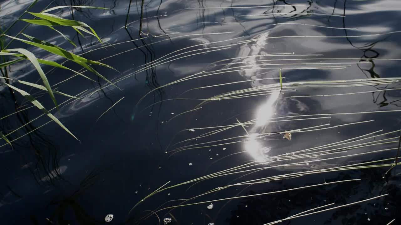 阳光照在水面上。自然背景与阳光在水面上闪烁。永无尽头的湖面景色和阳光的炙热。湖面反射阳光的纹理视频下载