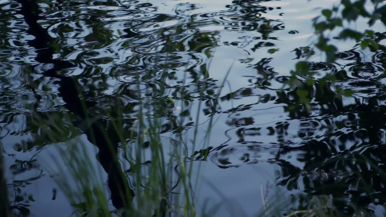 阳光照在水面上。自然背景与阳光在水面上闪烁。永无尽头的湖面景色和阳光的炙热。湖面反射阳光的纹理视频下载