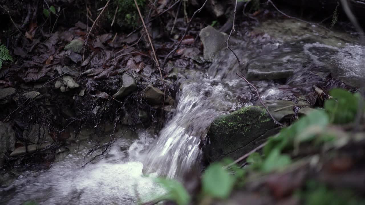 春雨过后的清晨。视频素材