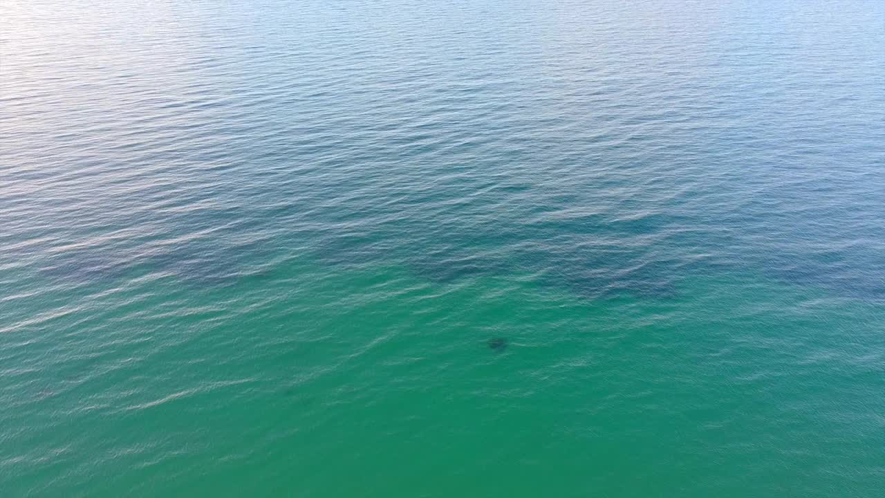 海鸟瞰图视频素材