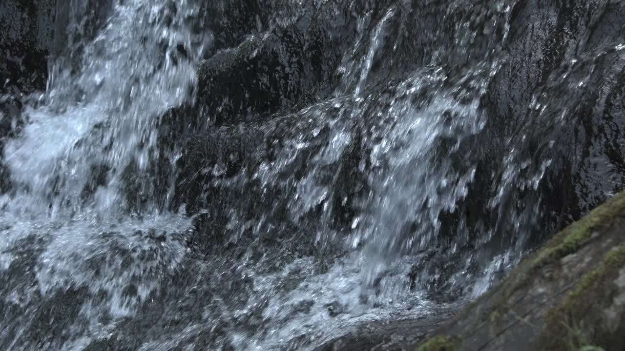 水如瀑布般流淌在长满苔藓的岩石上。泉水顺着石床流下。山河溅起泡沫，溅成小水花。前景是一棵长满苔藓的老树。视频素材