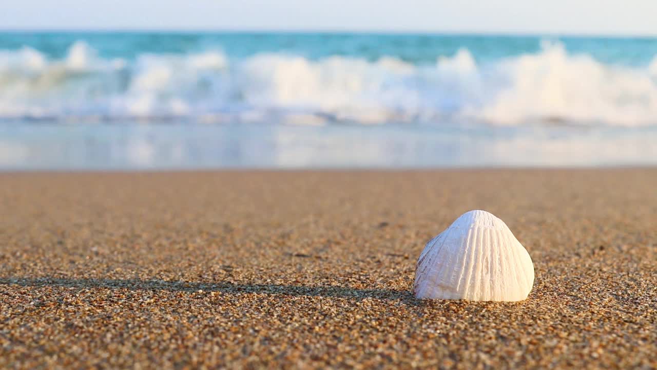 沙滩上的白色贝壳和阳光明媚的夏日里的海浪。海滩度假的概念视频素材