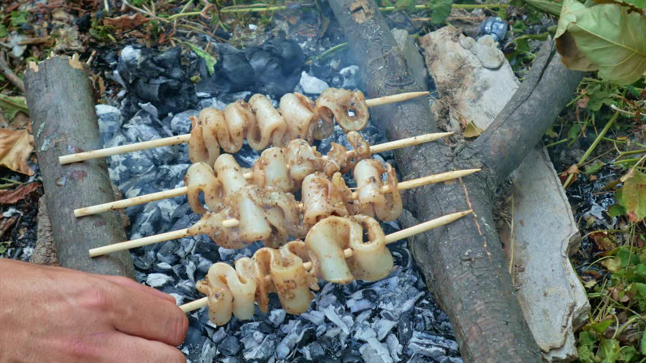 新鲜美味的炭烤鱿鱼视频素材