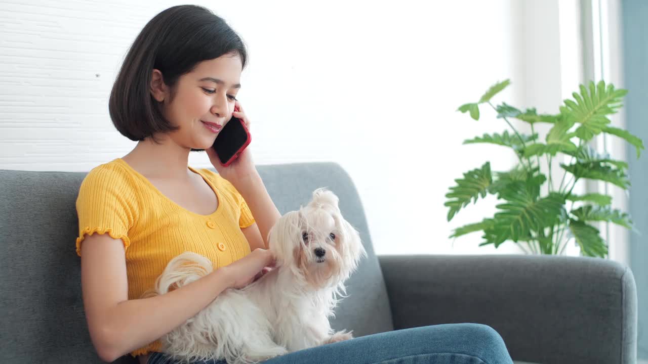 亚洲年轻女子打电话，而抚摸她的狗在家里。爱狗人士的概念。视频素材