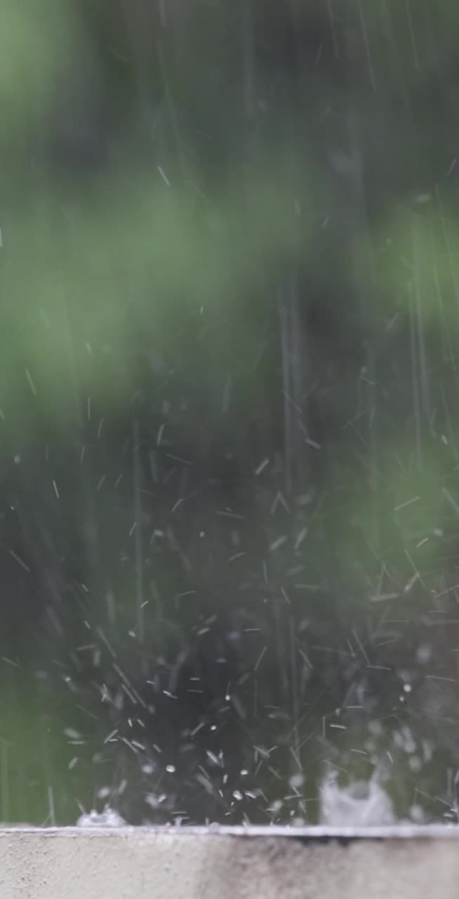 雨雨视频素材