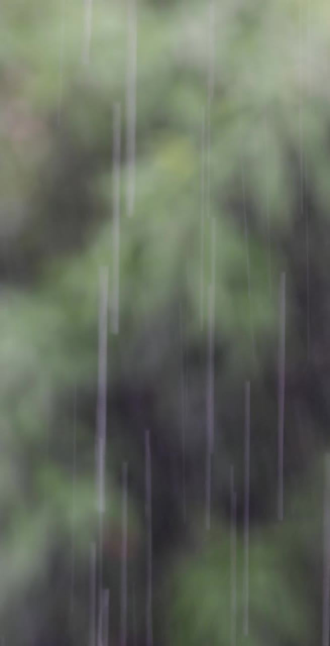 雨雨视频素材