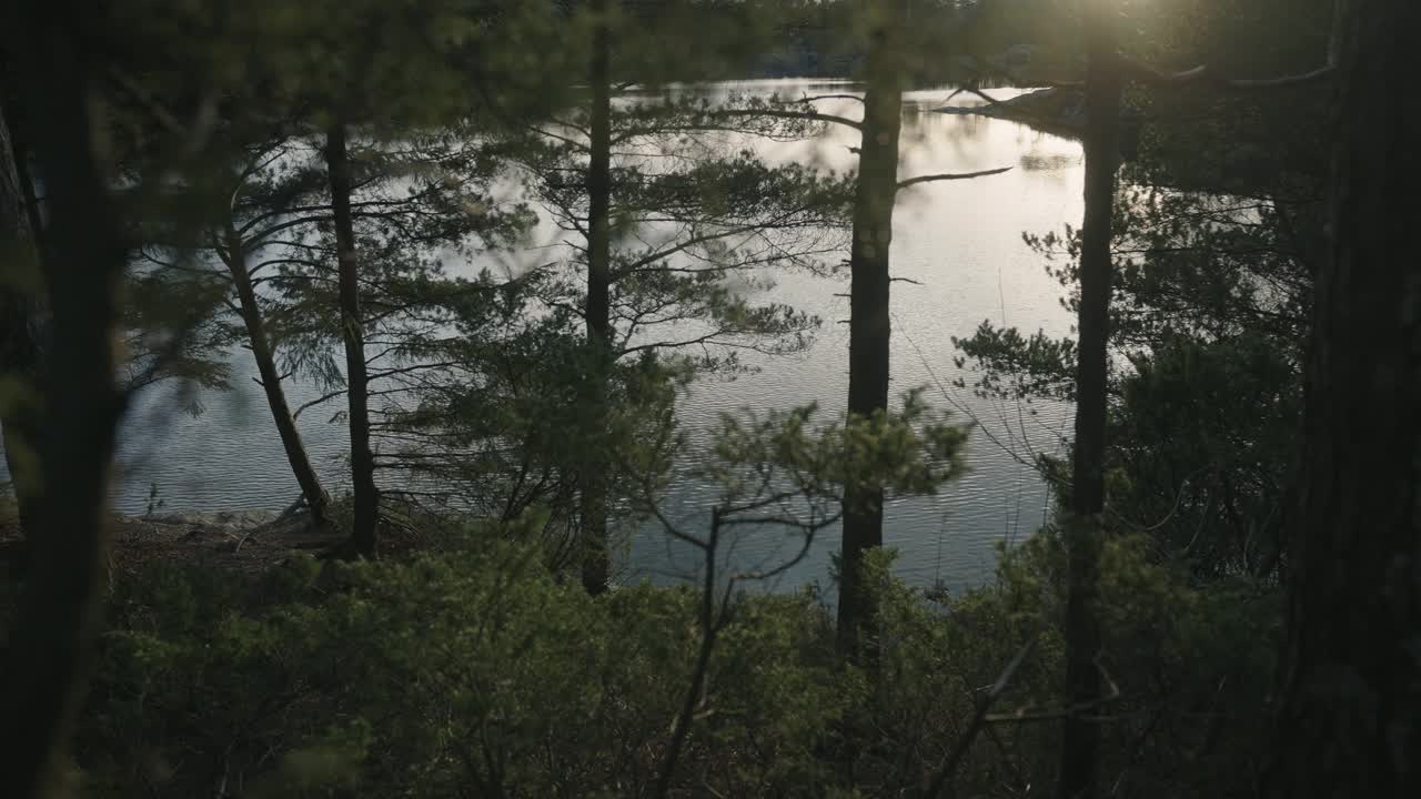 挪威的森林:晚春日落时湖边的树木的细节视频素材