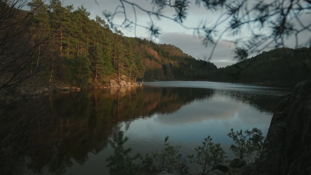 挪威的森林:晚春日落时湖边的树木的细节视频素材