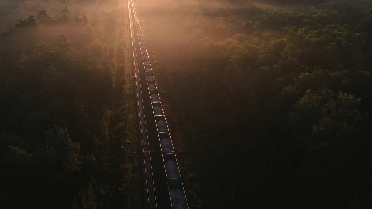 一列货运火车穿过秋天的森林视频素材