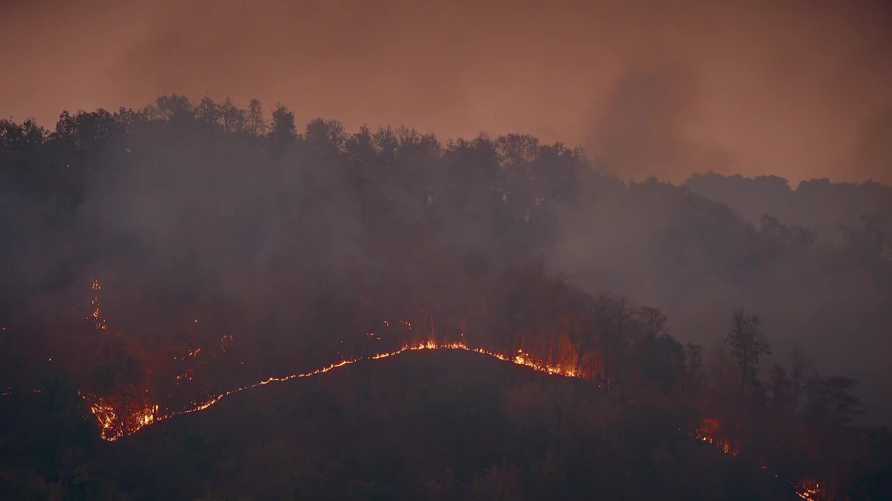 夜间山上发生野火视频素材